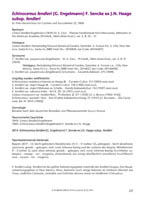 HP EcJ-Online 2014 02_Seite_15